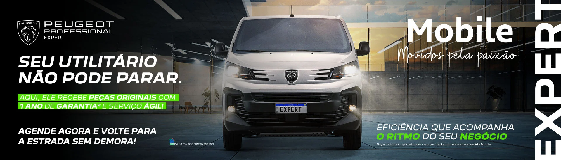 Revisões e manutenções de utilitários